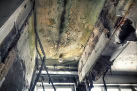 Best Mold Removal for HVAC Installations  in Hebron, IN